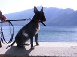 bonnie_20211129_1707324732